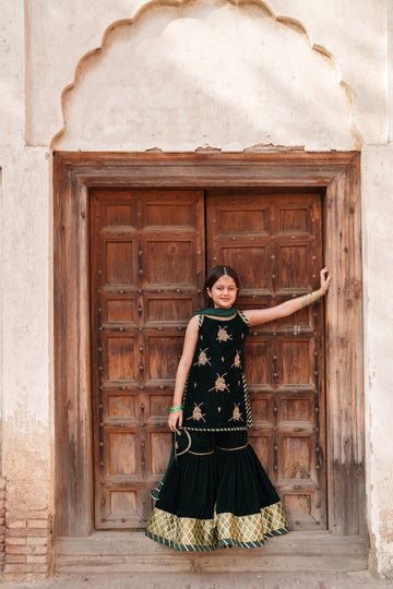 Roshni